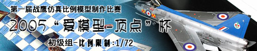 2005年“爱模型-顶点”杯第一届战鹰模型比赛-初级组