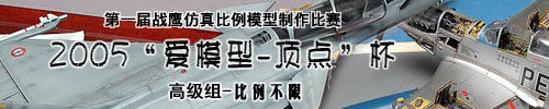 2005年“爱模型-顶点”杯第一届战鹰模型比赛-高级组